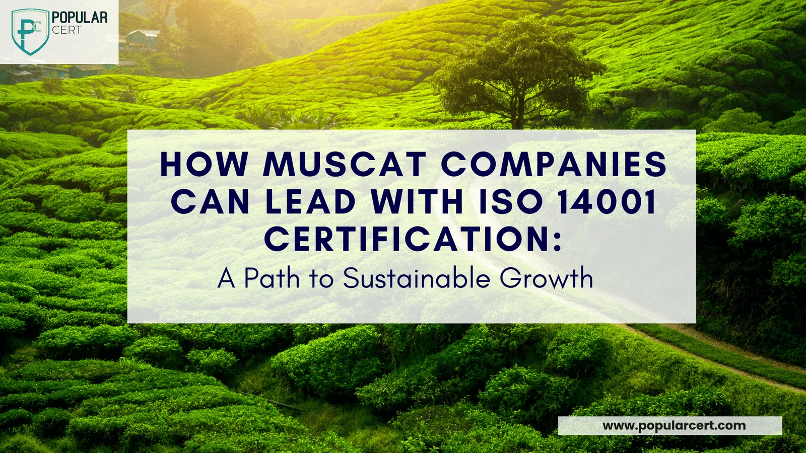 how-muscat-companies-can-lead-with-iso-14001-certification-a-path-to-sustainable-growth
