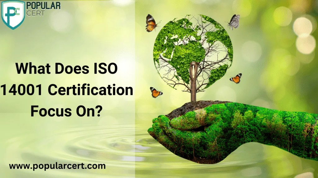 What Does ISO 14001 Certification Focus On?