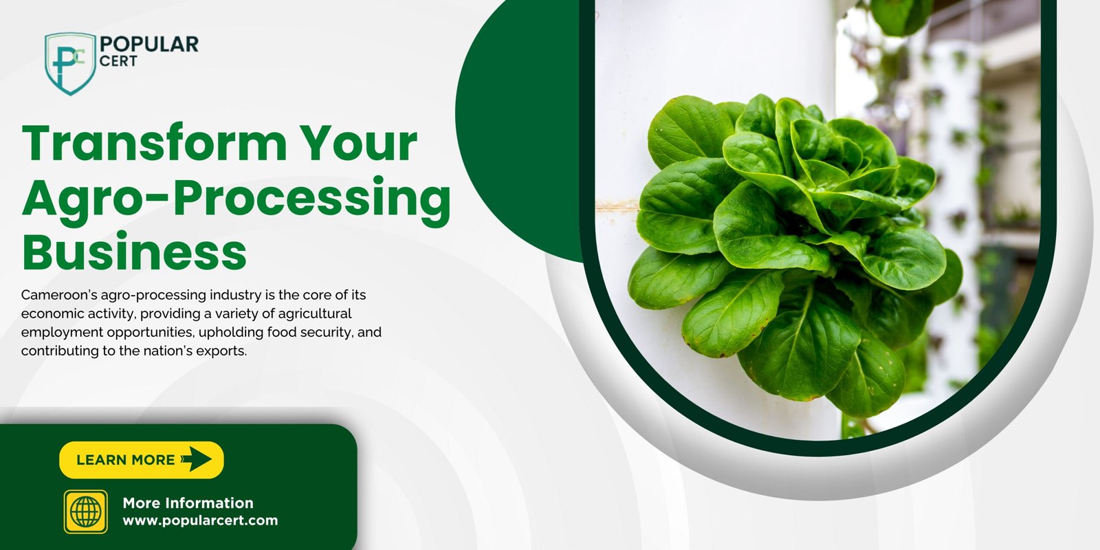 HACCP Certification in Cameroon for Agro-Processing Businesses – Improve Food Safety and Boost Exports
