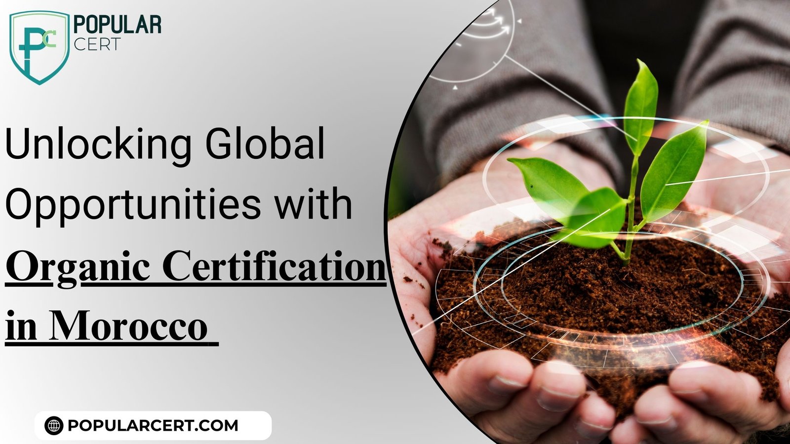 Unlocking-Global-Opportunities-with-Organic-Certification-in-Morocco