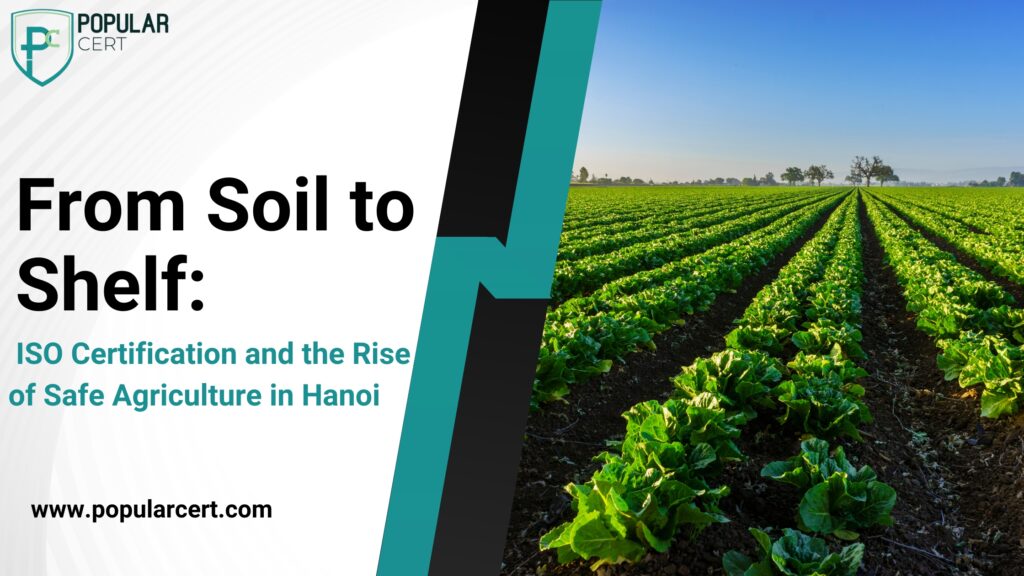 from soil to shelf: iso certification and the rise of safe agriculture in hanoi
