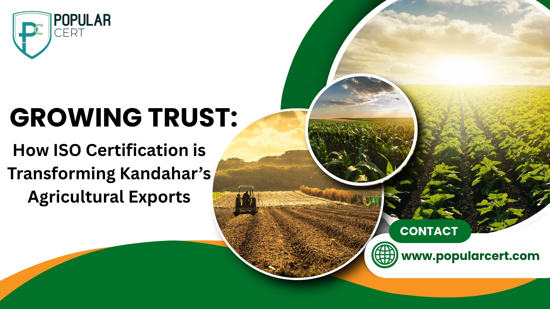 growing trust: how iso certification is transforming kandahar’s agricultural exports