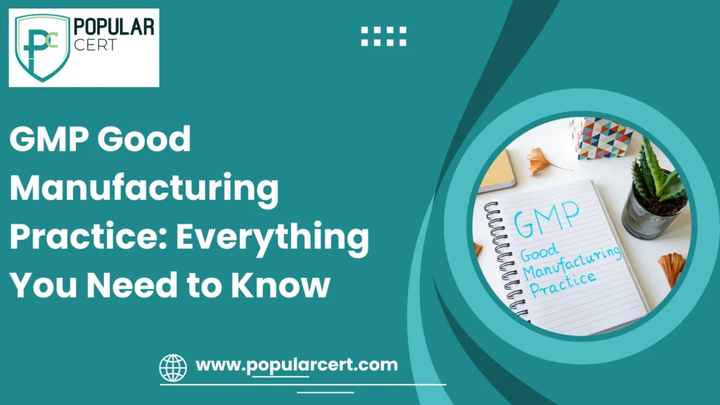 GMP Good Manufacturing Practice: Everything You Need to Know