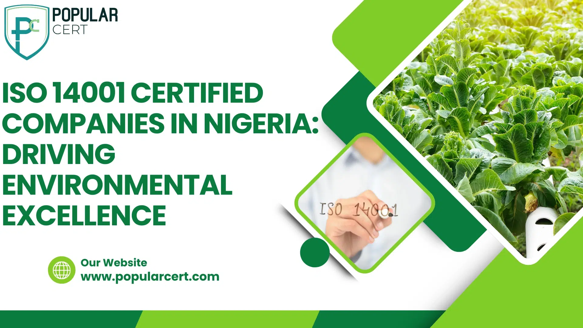 ISO 14001 Certified Companies in Nigeria: Driving Environmental Excellence